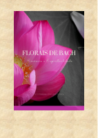 Florais de Bach.pdf